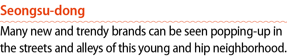 Seongsu dong Many new and trendy brands can be seen popping up in the streets and alleys of this young and hip neighb...