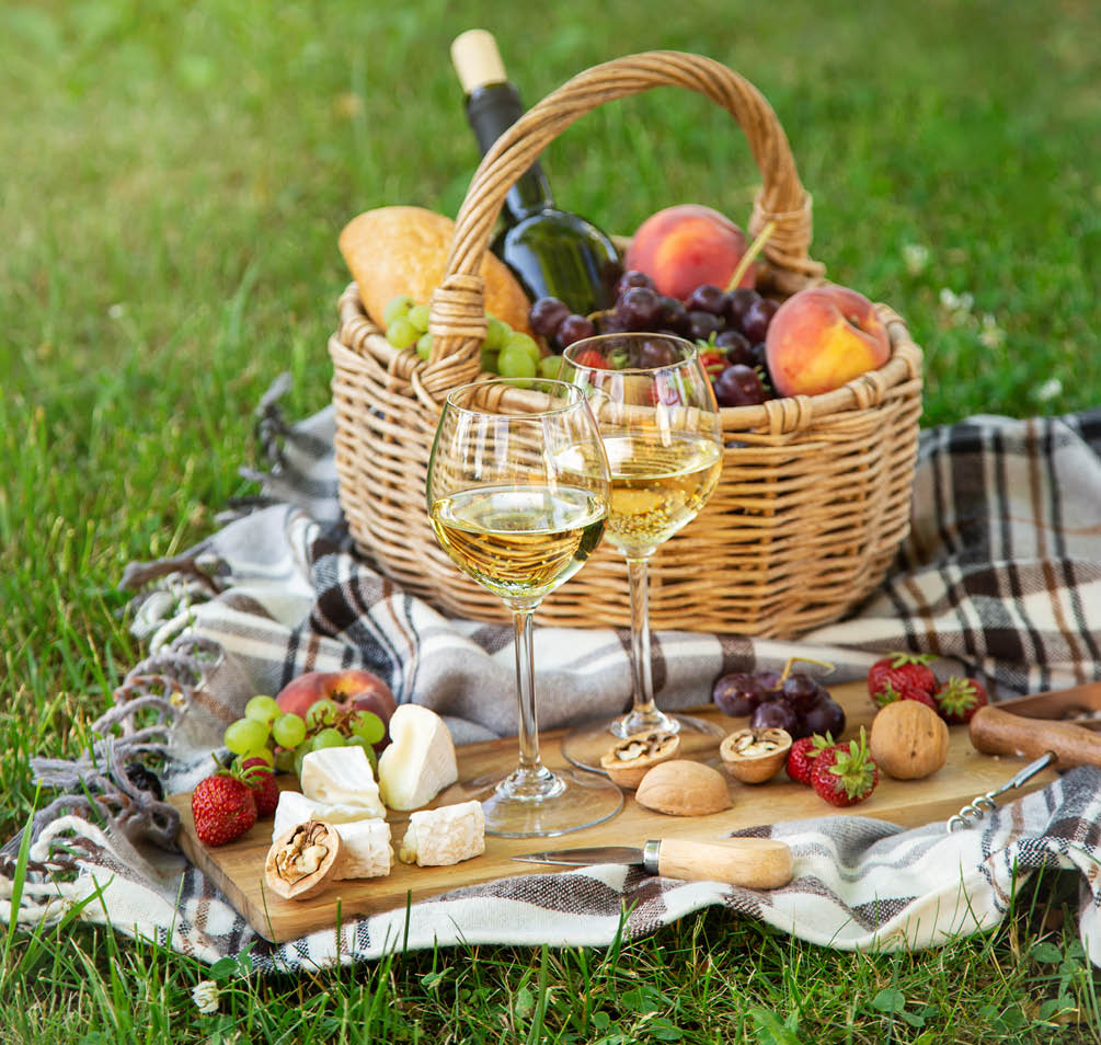 Two glasses of white wine, cheese, fruits. Picnic, outdoor dinner on a  green lawn, selective focus, copy space