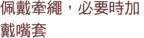 佩戴牽繩，必要時加戴嘴套 
