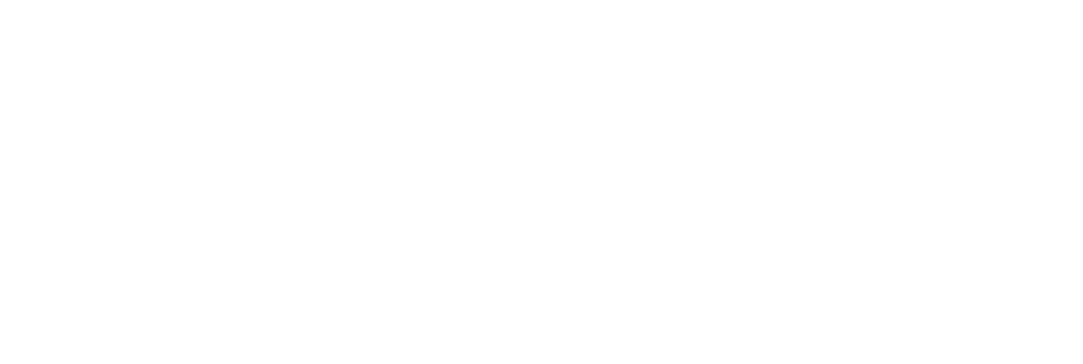 Pet Tour: Traveling with Your Pet