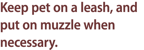Keep pet on a leash, and put on muzzle when necessary.