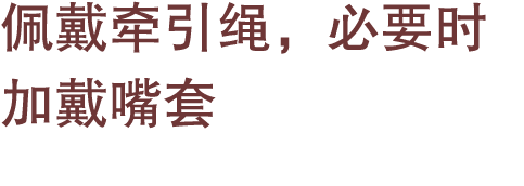 佩戴牵引绳，必要时加戴嘴套