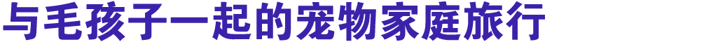 与毛孩子一起的宠物家庭旅行