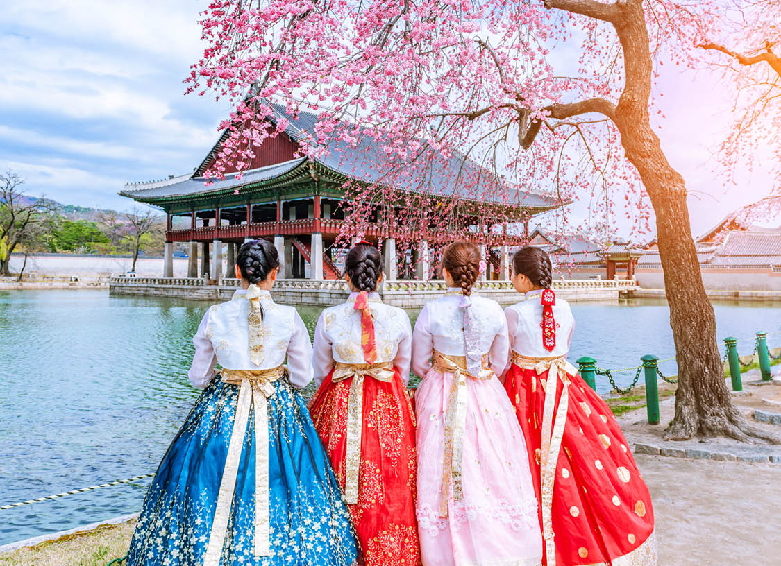 Cherry Blossom with Korean national dress at Gyeongbokgung Palace Seoul,South Korea