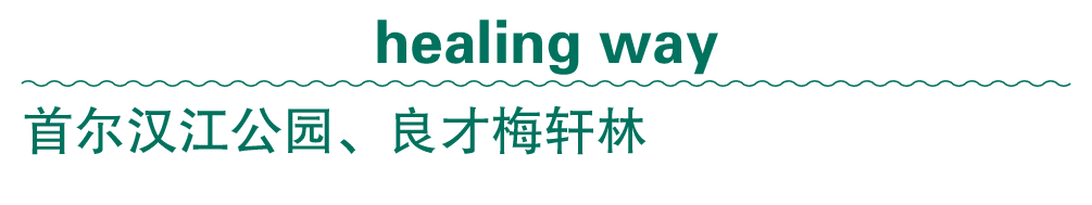 healing way 首尔汉江公园、良才梅轩林