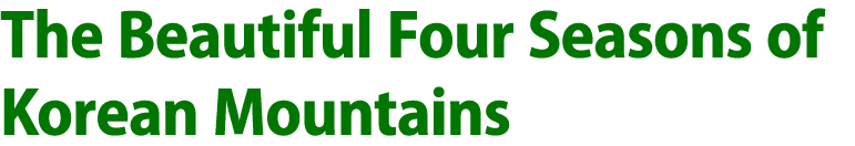 The Beautiful Four Seasons of Korean Mountains