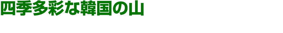 四季多彩な韓国の山
