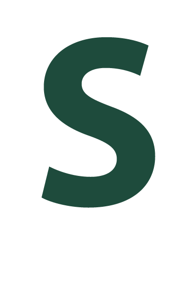 S_2