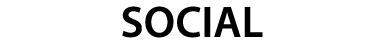 S_1