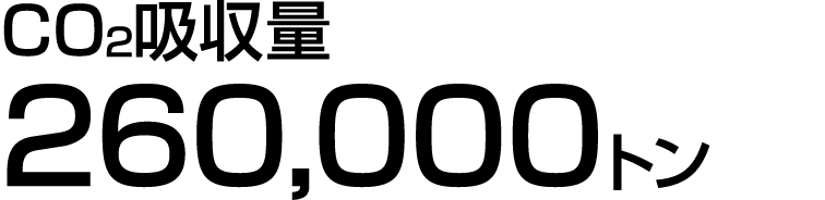 CO2    260,000  
