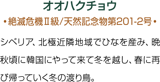                       201-2                                                     
