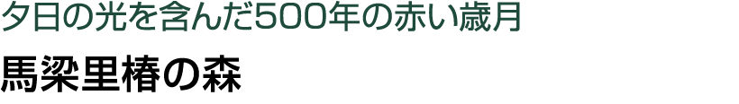         500             