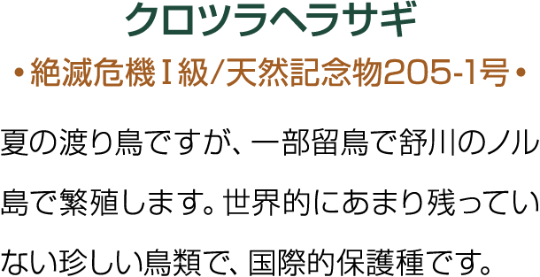                       205-1                                                           