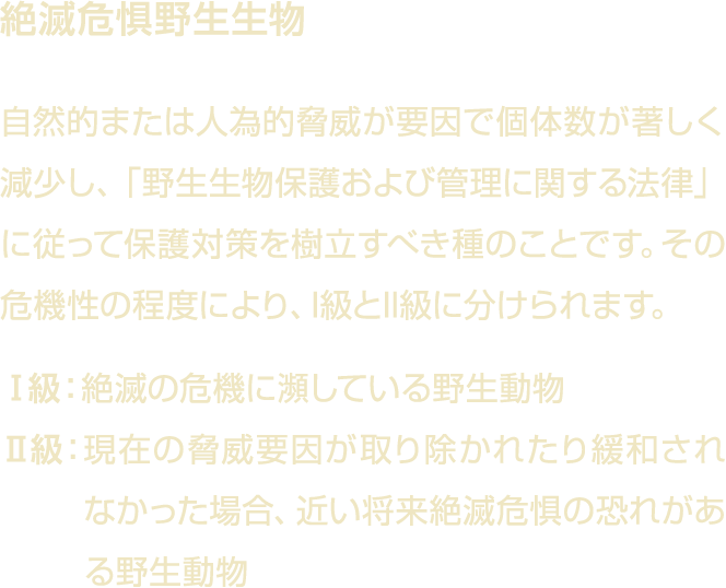                                                                                        I  II                            