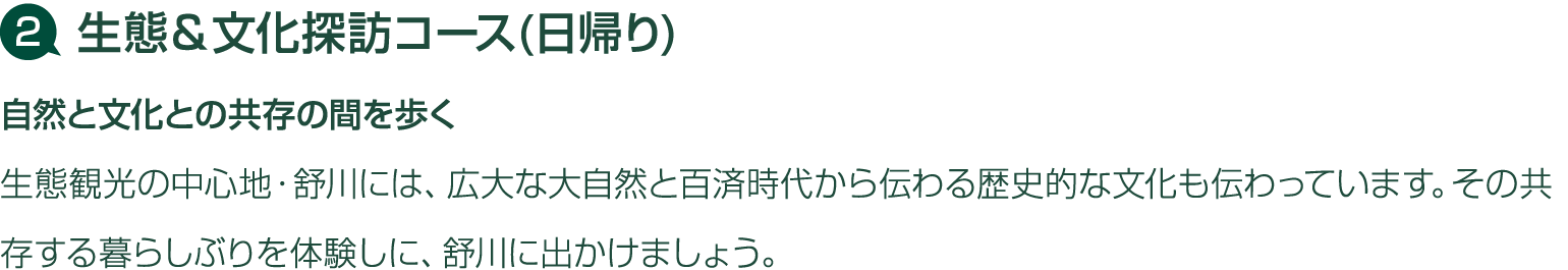            (   )                                                                                         