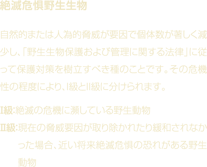                                                                                        I  II                            