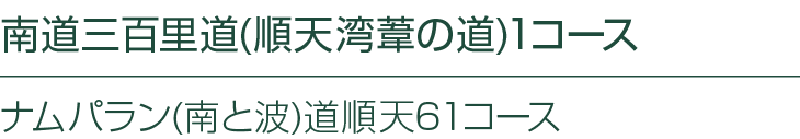       (      )1         (   )   61   