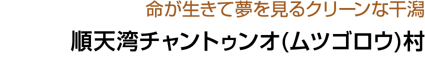                            (     ) 
