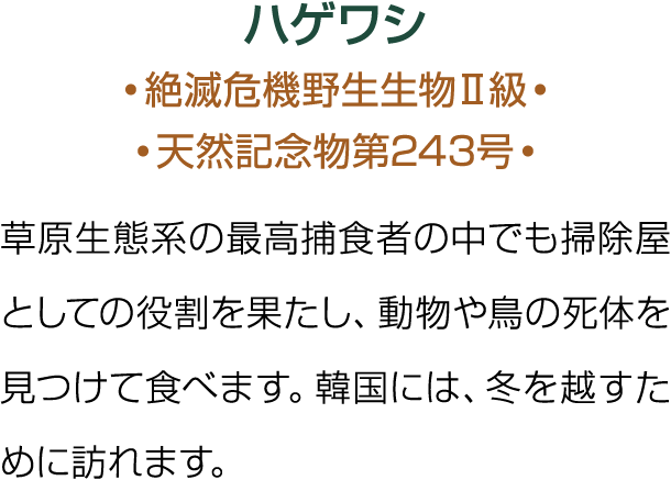                          243                                                                  