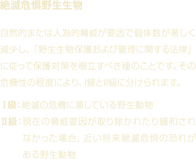                                                                                        I  II                            
