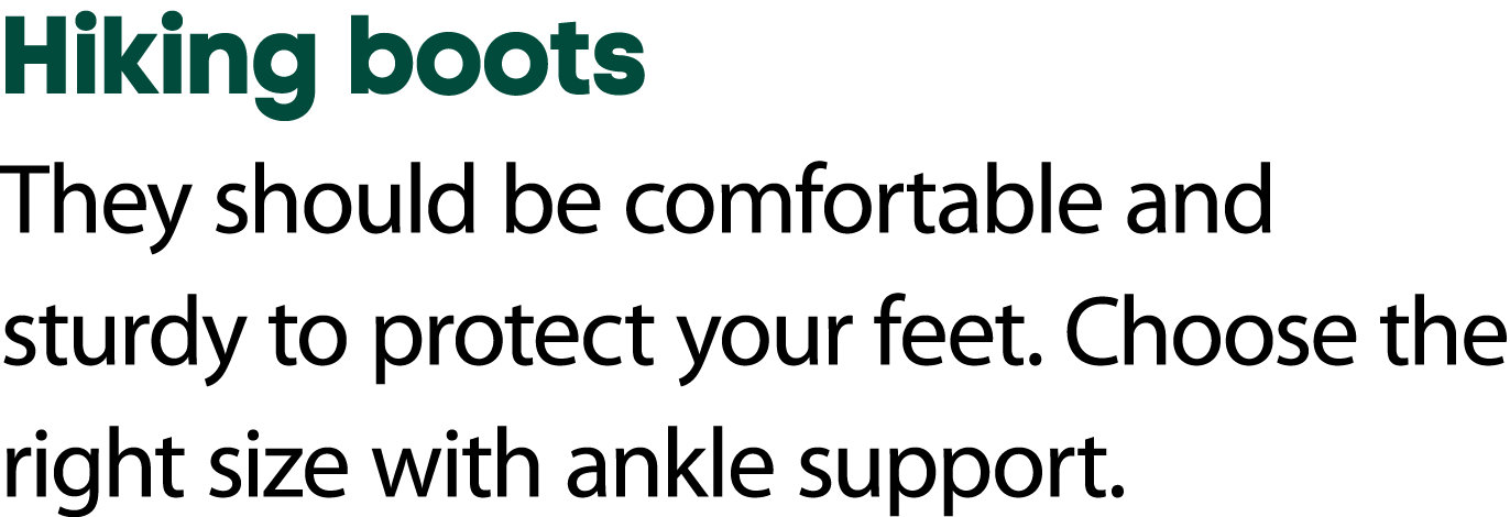 Hiking boots They should be comfortable and sturdy to protect your feet. Choose the right size with ankle support.