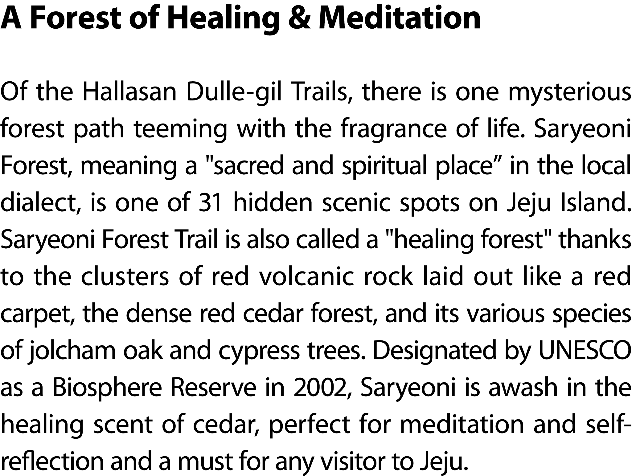 A Forest of Healing & Meditation Of the Hallasan Dulle gil Trails, there is one mysterious forest path teeming with t...