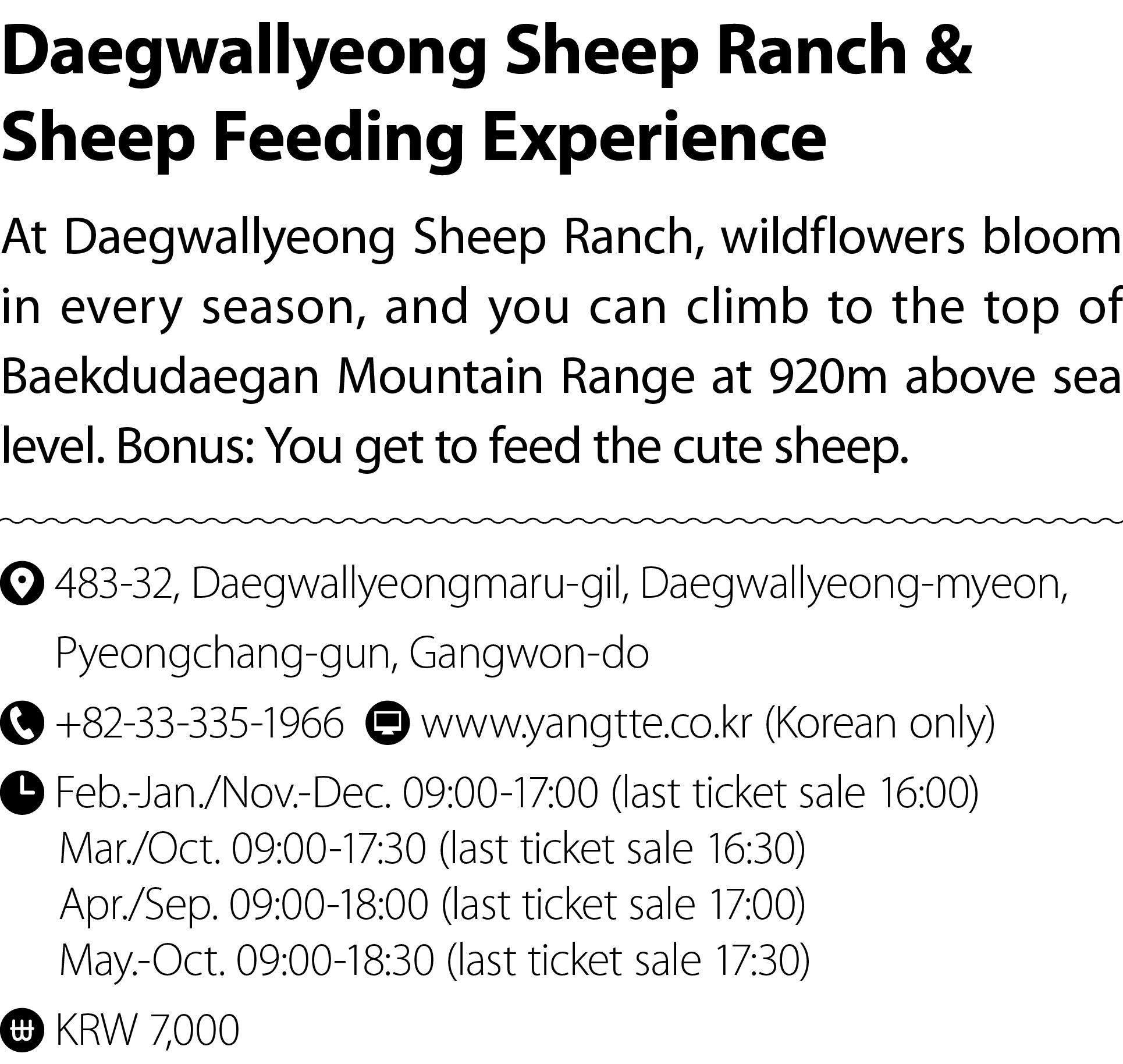 Daegwallyeong Sheep Ranch & Sheep Feeding Experience At Daegwallyeong Sheep Ranch, wildflowers bloom in every season,...