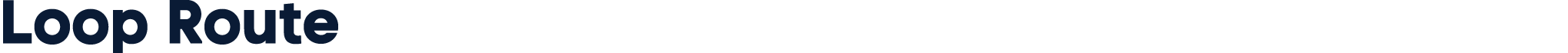 Loop Route