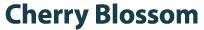 Cherry Blossom