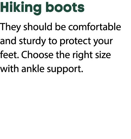 Hiking boots They should be comfortable and sturdy to protect your feet. Choose the right size with ankle support.