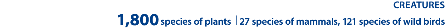 Creatures 1,800species of plants | 27 species of mammals, 121 species of wild birds