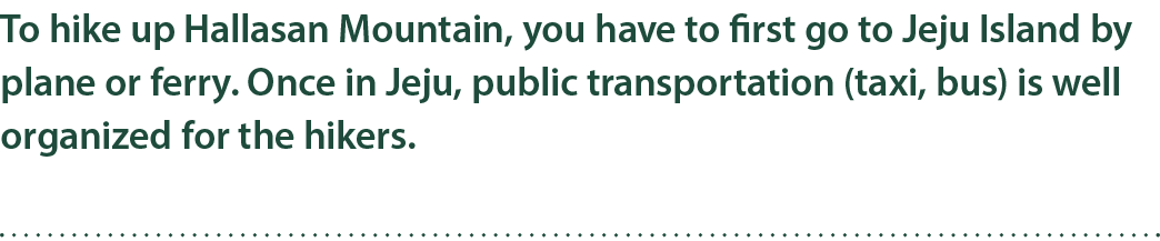 To hike up Hallasan Mountain, you have to first go to Jeju Island by plane or ferry. Once in Jeju, public transportat...