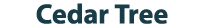 Cedar Tree