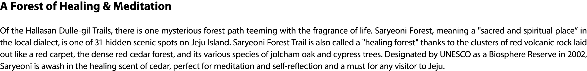 A Forest of Healing & Meditation Of the Hallasan Dulle gil Trails, there is one mysterious forest path teeming with t...