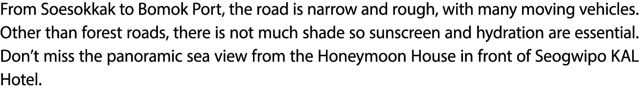 From Soesokkak to Bomok Port, the road is narrow and rough, with many moving vehicles. Other than forest roads, there...