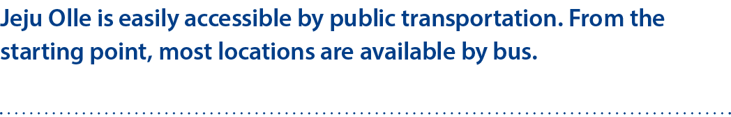 Jeju Olle is easily accessible by public transportation. From the starting point, most locations are available by bus. 